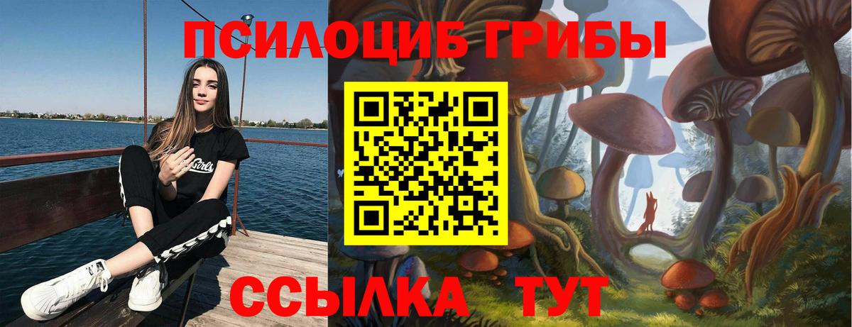 Псилоцибиновые грибы мухоморы Чехов