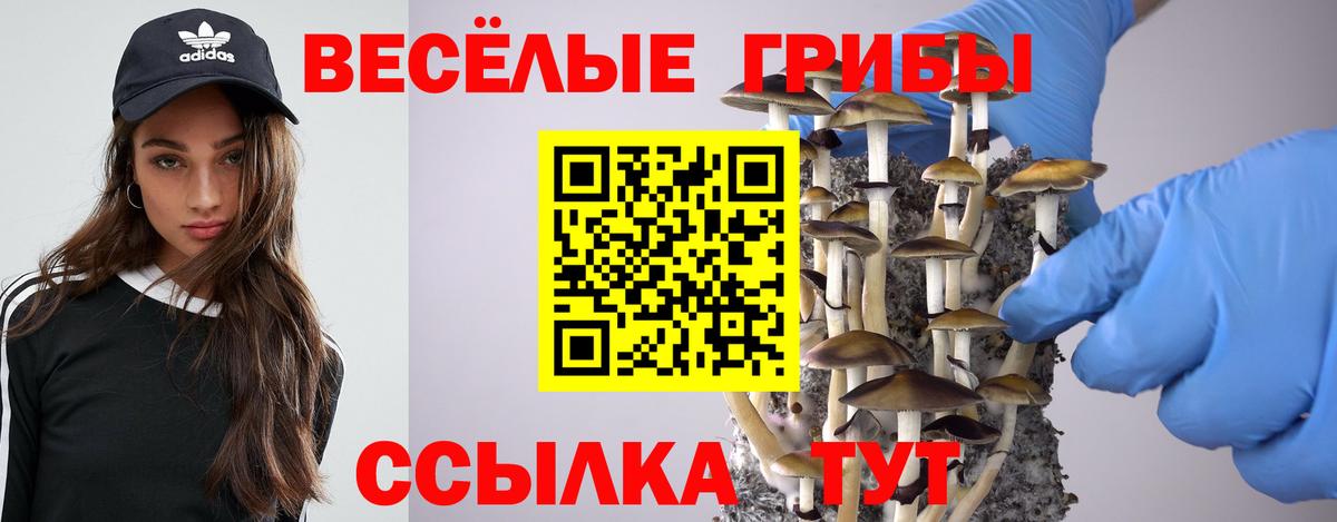 Чехов  Галлюциногенные грибы Cubensis  Вход с VPN 